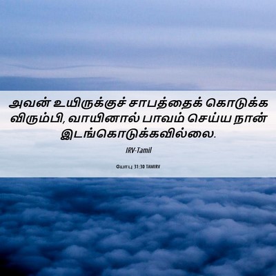 Picture 06 - யோபு 31:30 TAMIRV - அவன் உயிருக்குச் - Bible Verse Picture