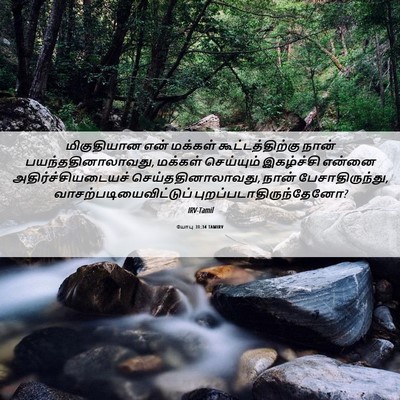 Picture 06 - யோபு 31:34 TAMIRV - மிகுதியான என் - Bible Verse Picture