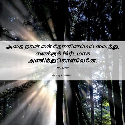 Picture 06 - யோபு 31:36 TAMIRV - அதை நான் என் - Bible Verse Picture