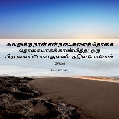 Picture 06 - யோபு 31:37 TAMIRV - அவனுக்கு நான் என் - Bible Verse Picture