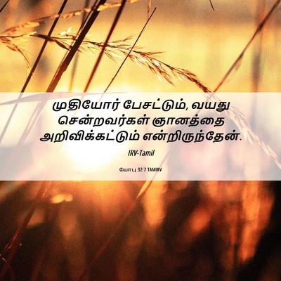 Picture 06 - யோபு 32:7 TAMIRV - முதியோர் - Bible Verse Picture