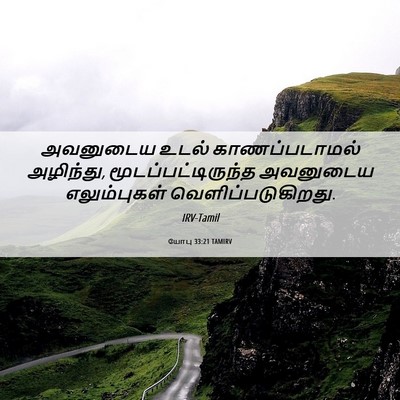 Picture 06 - யோபு 33:21 TAMIRV - அவனுடைய உடல் - Bible Verse Picture