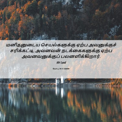 Picture 06 - யோபு 34:11 TAMIRV - மனிதனுடைய - Bible Verse Picture