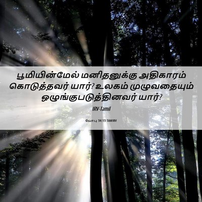 Picture 06 - யோபு 34:13 TAMIRV - பூமியின்மேல் - Bible Verse Picture