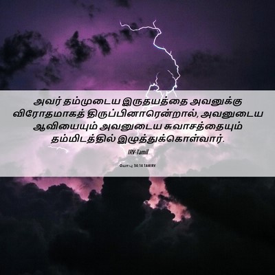 Picture 06 - யோபு 34:14 TAMIRV - அவர் தம்முடைய - Bible Verse Picture