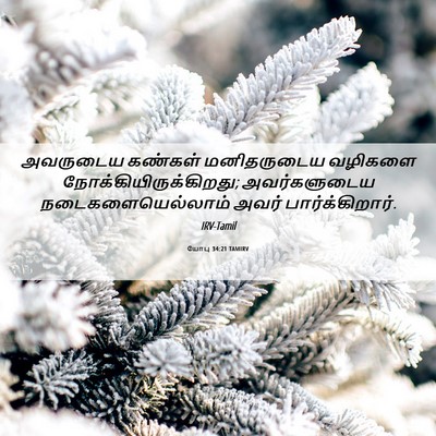 Picture 06 - யோபு 34:21 TAMIRV - அவருடைய கண்கள் - Bible Verse Picture