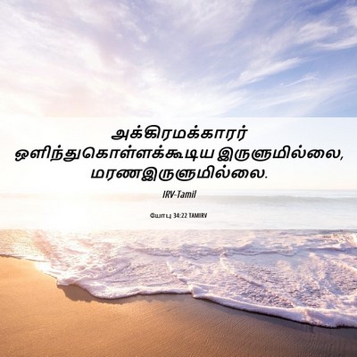 Picture 06 - யோபு 34:22 TAMIRV - அக்கிரமக்காரர் - Bible Verse Picture