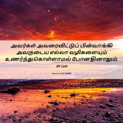Picture 06 - யோபு 34:26 TAMIRV - அவர்கள் - Bible Verse Picture