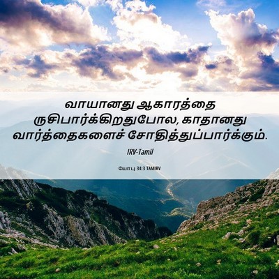 Picture 06 - யோபு 34:3 TAMIRV - வாயானது ஆகாரத்தை - Bible Verse Picture