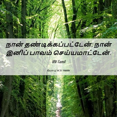 Picture 06 - யோபு 34:31 TAMIRV - நான் - Bible Verse Picture