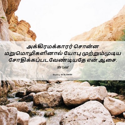 Picture 06 - யோபு 34:36 TAMIRV - அக்கிரமக்காரர் - Bible Verse Picture