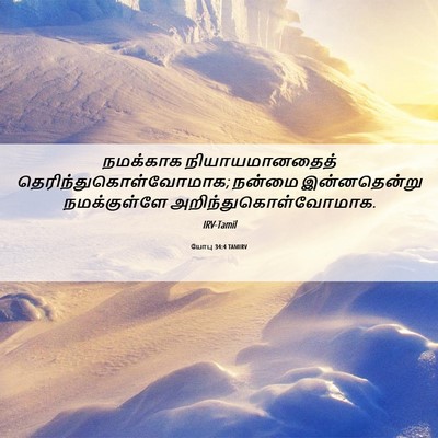 Picture 06 - யோபு 34:4 TAMIRV - நமக்காக - Bible Verse Picture