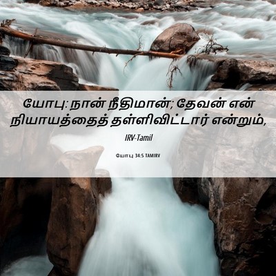 Picture 06 - யோபு 34:5 TAMIRV - யோபு: நான் - Bible Verse Picture