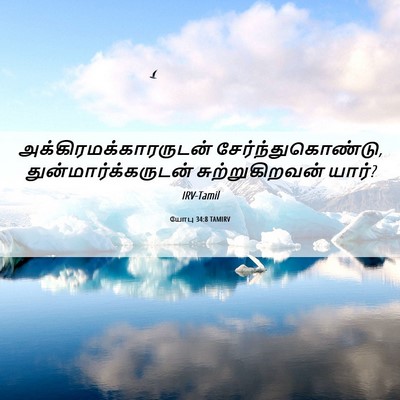 Picture 06 - யோபு 34:8 TAMIRV -  - Bible Verse Picture