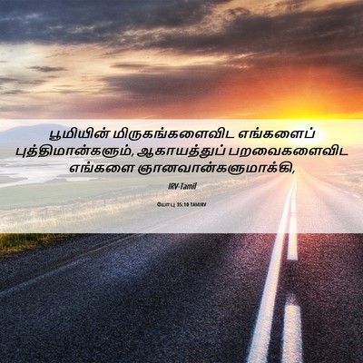 Picture 06 - யோபு 35:10 TAMIRV - பூமியின் - Bible Verse Picture