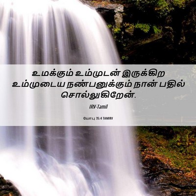 Picture 06 - யோபு 35:4 TAMIRV - உமக்கும் உம்முடன் - Bible Verse Picture