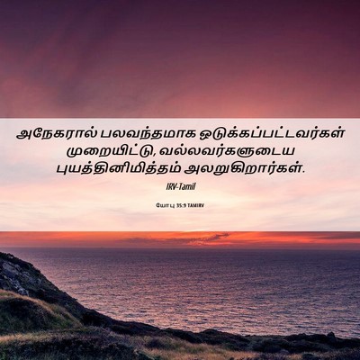 Picture 06 - யோபு 35:9 TAMIRV - அநேகரால் - Bible Verse Picture