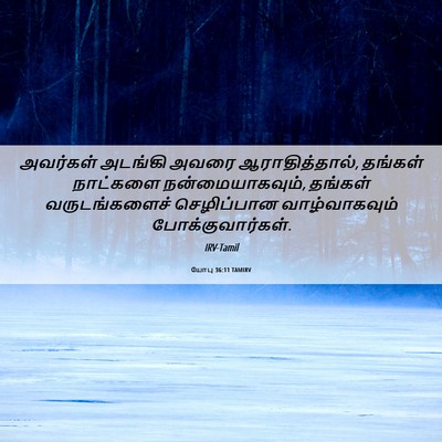Picture 06 - யோபு 36:11 TAMIRV - அவர்கள் அடங்கி - Bible Verse Picture