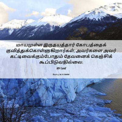 Picture 06 - யோபு 36:13 TAMIRV - மாயமுள்ள - Bible Verse Picture