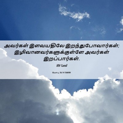 Picture 06 - யோபு 36:14 TAMIRV - அவர்கள் இளவயதிலே - Bible Verse Picture
