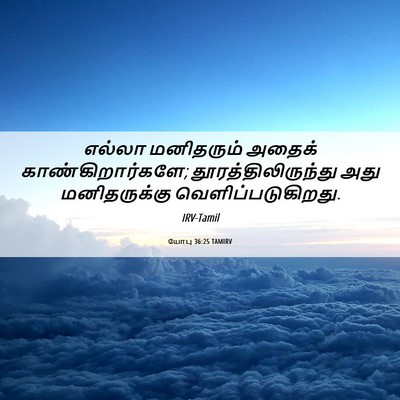 Picture 06 - யோபு 36:25 TAMIRV - எல்லா மனிதரும் - Bible Verse Picture