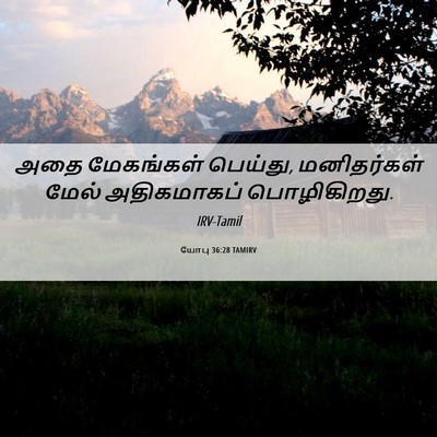 Picture 06 - யோபு 36:28 TAMIRV - அதை மேகங்கள் - Bible Verse Picture