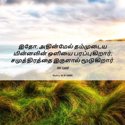 Picture 06 - யோபு 36:30 TAMIRV - இதோ, அதின்மேல் - Bible Verse Picture