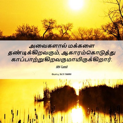 Picture 06 - யோபு 36:31 TAMIRV - அவைகளால் மக்களை - Bible Verse Picture