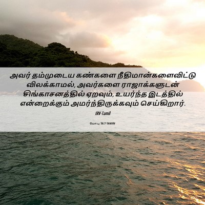 Picture 06 - யோபு 36:7 TAMIRV - அவர் தம்முடைய - Bible Verse Picture