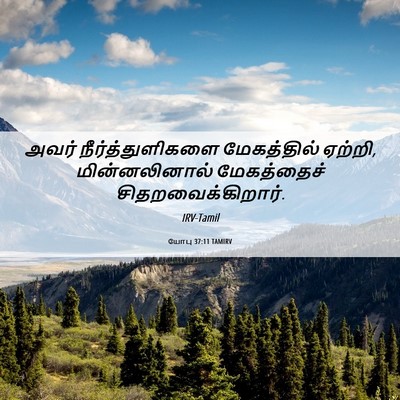 Picture 06 - யோபு 37:11 TAMIRV - அவர் - Bible Verse Picture