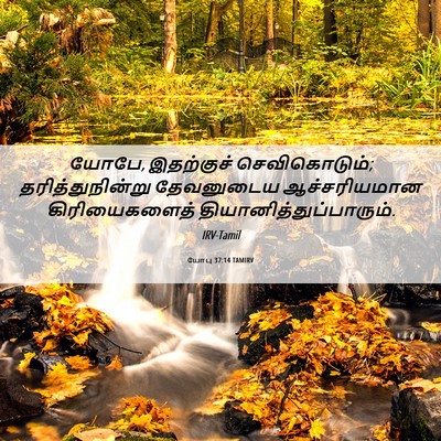 Picture 06 - யோபு 37:14 TAMIRV - யோபே, இதற்குச் - Bible Verse Picture