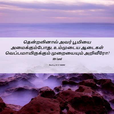 Picture 06 - யோபு 37:17 TAMIRV - தென்றலினால் அவர் - Bible Verse Picture
