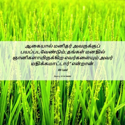 Picture 06 - யோபு 37:24 TAMIRV - ஆகையால் மனிதர் - Bible Verse Picture