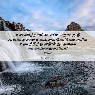 Picture 06 - யோபு 38:13 TAMIRV - உன் வாழ்நாளிலே - Bible Verse Picture