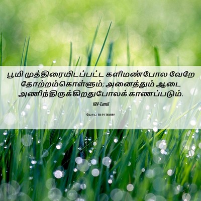 Picture 06 - யோபு 38:14 TAMIRV - பூமி - Bible Verse Picture
