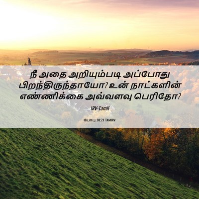 Picture 06 - யோபு 38:21 TAMIRV - நீ அதை அறியும்படி - Bible Verse Picture