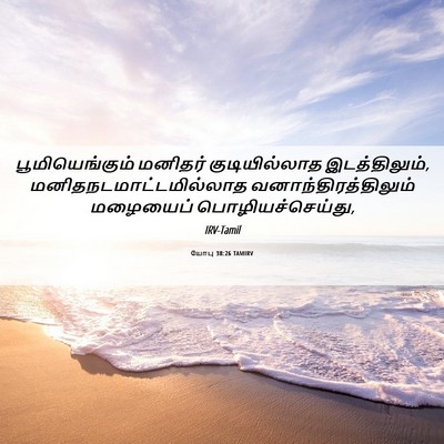 Picture 06 - யோபு 38:26 TAMIRV - பூமியெங்கும் - Bible Verse Picture
