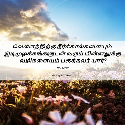 Picture 06 - யோபு 38:27 TAMIRV - வெள்ளத்திற்கு - Bible Verse Picture