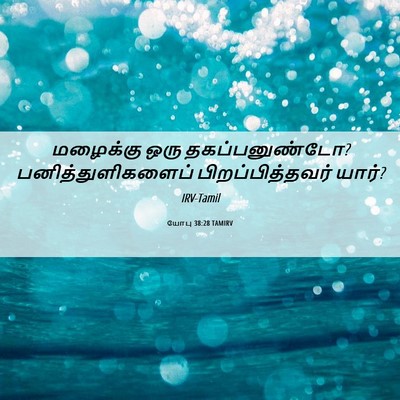 Picture 06 - யோபு 38:28 TAMIRV - மழைக்கு ஒரு - Bible Verse Picture