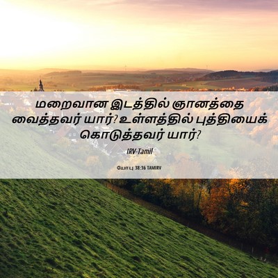Picture 06 - யோபு 38:36 TAMIRV - மறைவான இடத்தில் - Bible Verse Picture