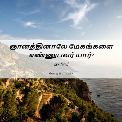 Picture 06 - யோபு 38:37 TAMIRV - ஞானத்தினாலே - Bible Verse Picture