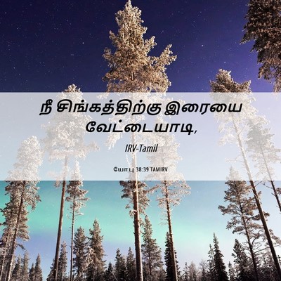 Picture 06 - யோபு 38:39 TAMIRV - நீ சிங்கத்திற்கு - Bible Verse Picture