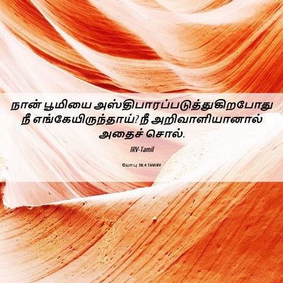 Picture 06 - யோபு 38:4 TAMIRV - நான் பூமியை - Bible Verse Picture