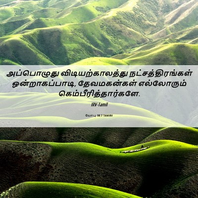 Picture 06 - யோபு 38:7 TAMIRV - அப்பொழுது - Bible Verse Picture