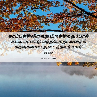 Picture 06 - யோபு 38:8 TAMIRV -  - Bible Verse Picture