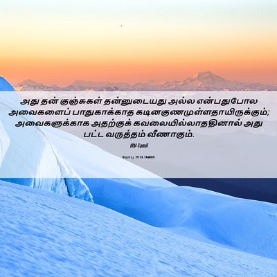 Picture 06 - யோபு 39:16 TAMIRV - அது தன் குஞ்சுகள் - Bible Verse Picture