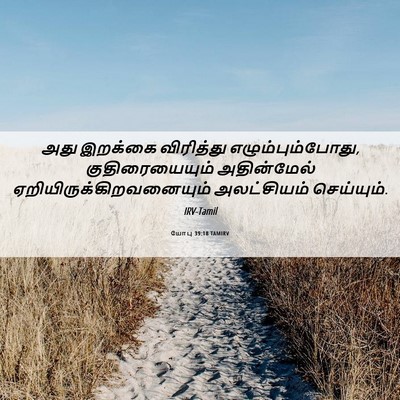 Picture 06 - யோபு 39:18 TAMIRV - அது இறக்கை - Bible Verse Picture