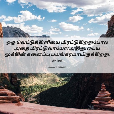 Picture 06 - யோபு 39:20 TAMIRV - ஒரு - Bible Verse Picture