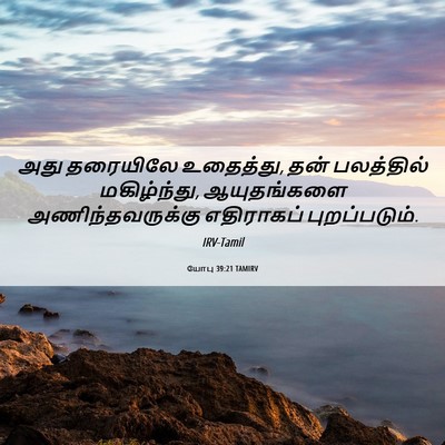 Picture 06 - யோபு 39:21 TAMIRV - அது தரையிலே - Bible Verse Picture