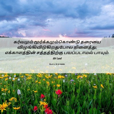 Picture 06 - யோபு 39:24 TAMIRV - கர்வமும் - Bible Verse Picture